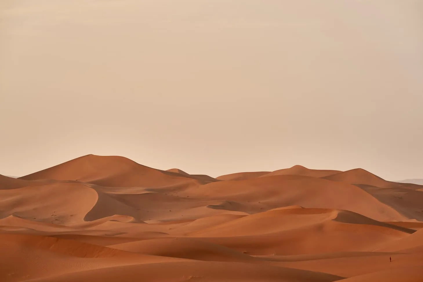 Desert